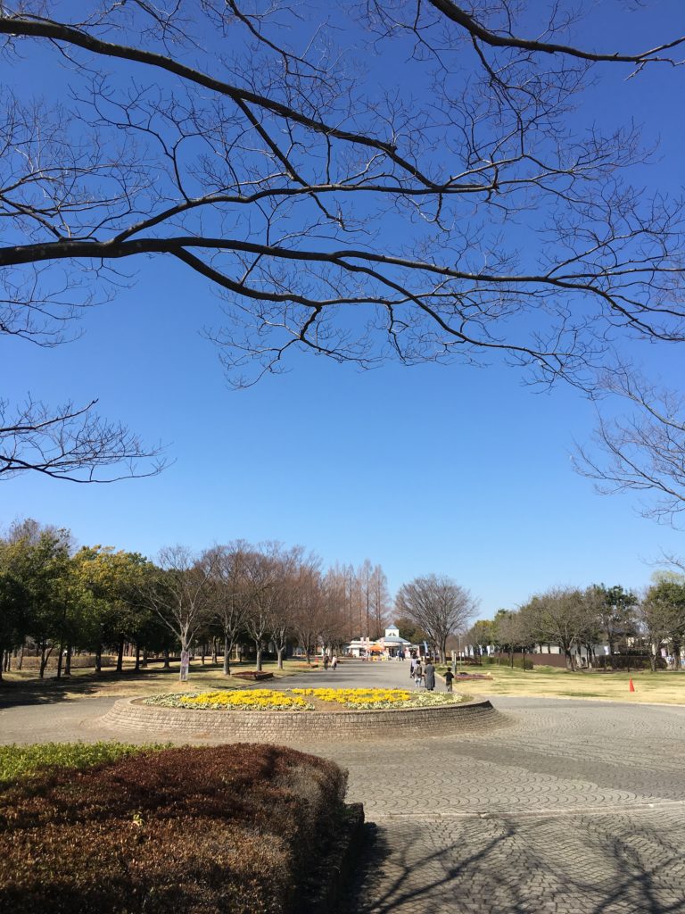羽生水郷公園の中