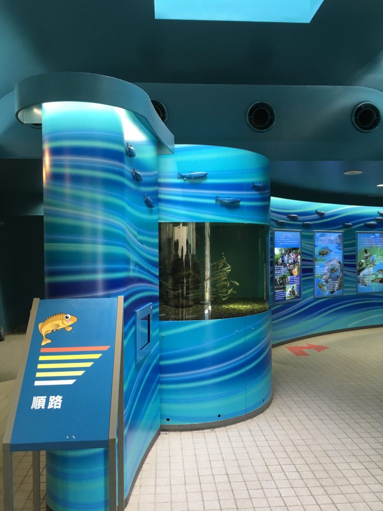 さいたま水族館の順路