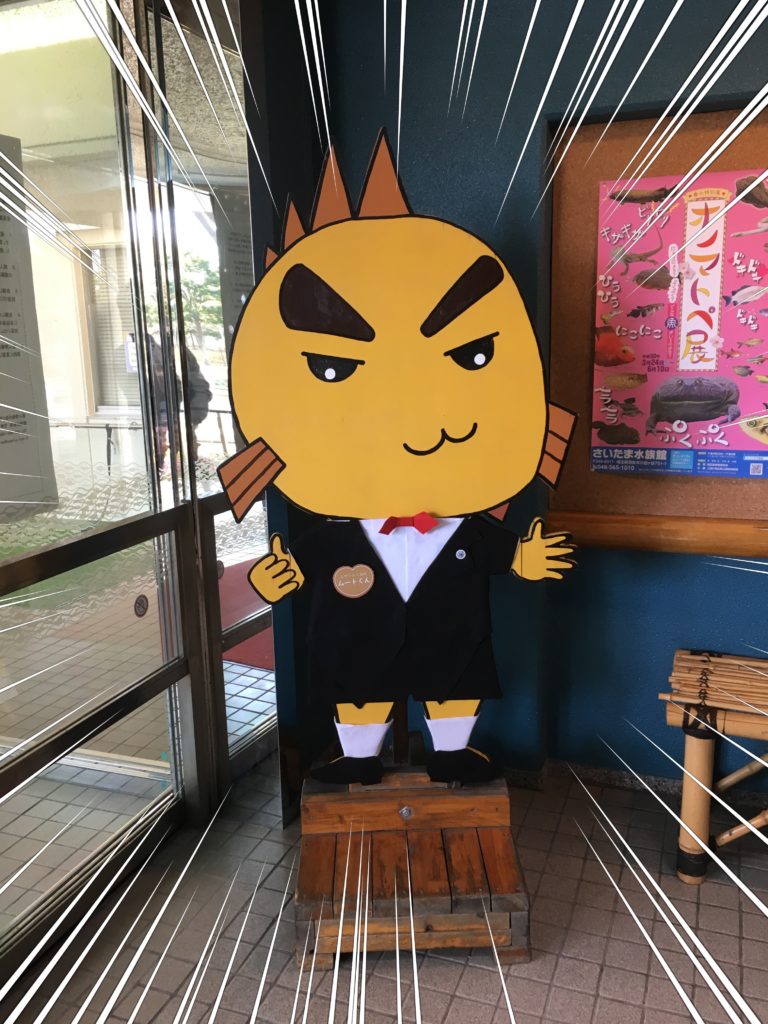 ムート君のアップ画像