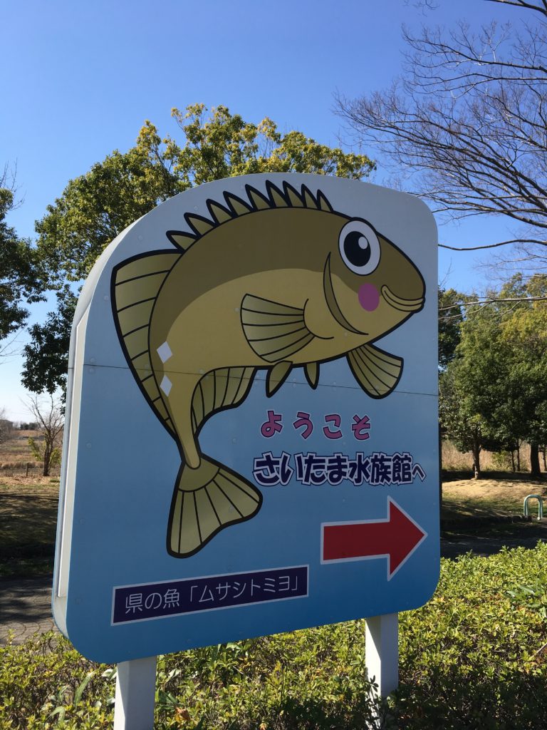 ムサシトミヨのイラスト