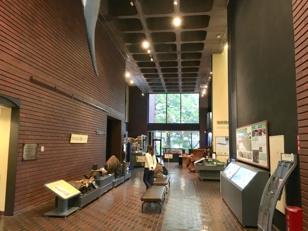 埼玉県立自然の博物館の内観