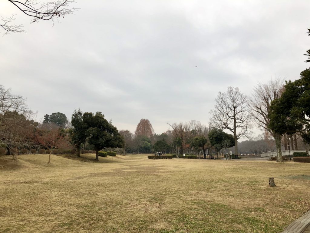 上尾丸山公園の芝生広場