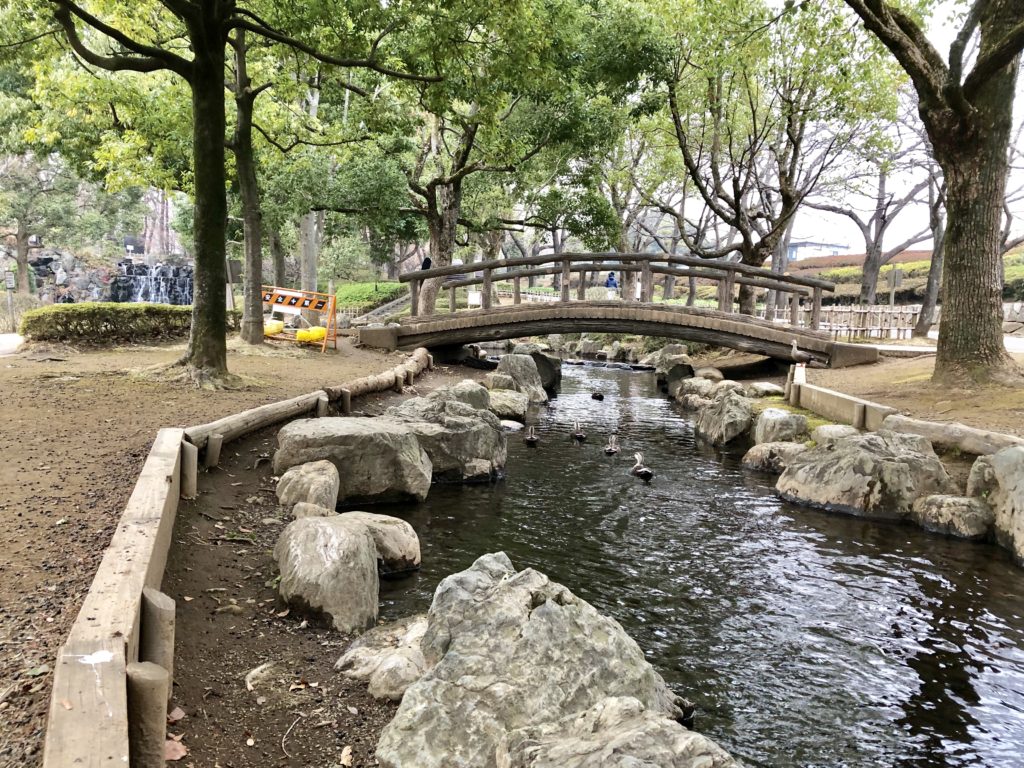 上尾丸山公園の人工的な川