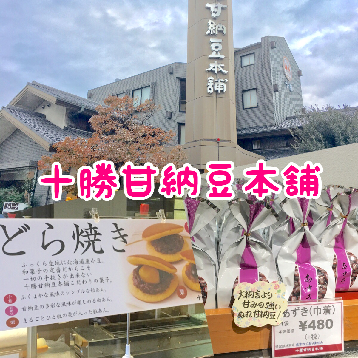 【十勝甘納豆本舗】どら焼きが美味しい埼玉ローカルな和菓子店