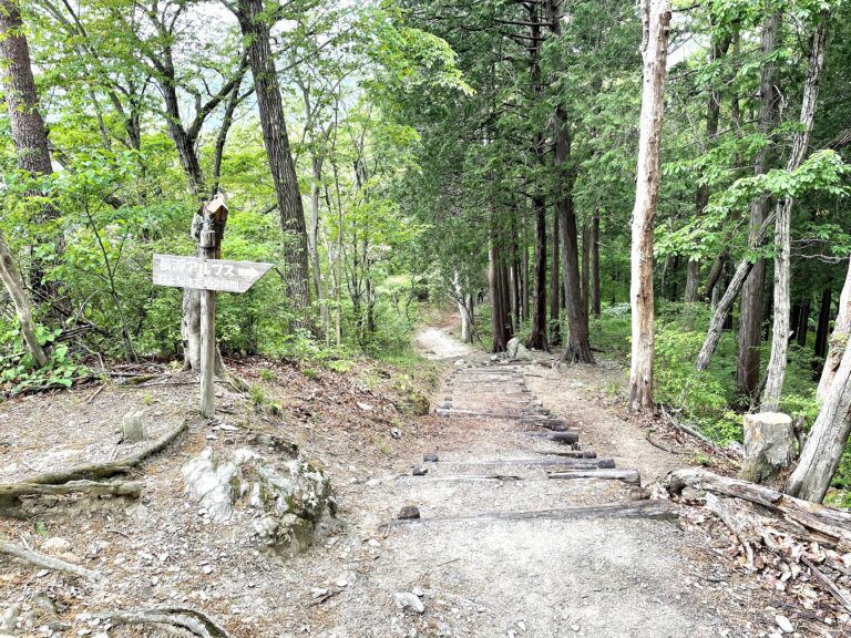 長瀞 宝登山の駐車場・トイレ・コースまとめ！頂上まで1時間の気軽なハイキング 