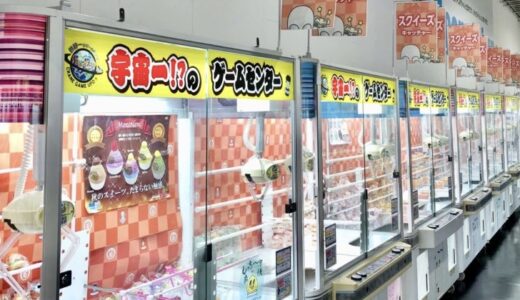 桶川に日本最大級のクレーンゲーム店が爆誕！エブリデイ桶川店が7月5日オープンするみたい